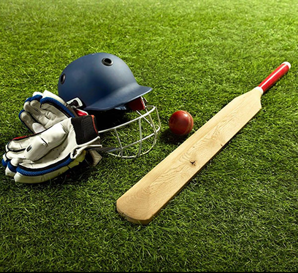 cricket